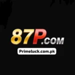 87P Game
