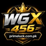 WGS456 Game